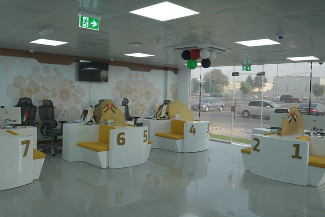 About Our Consulting Firm